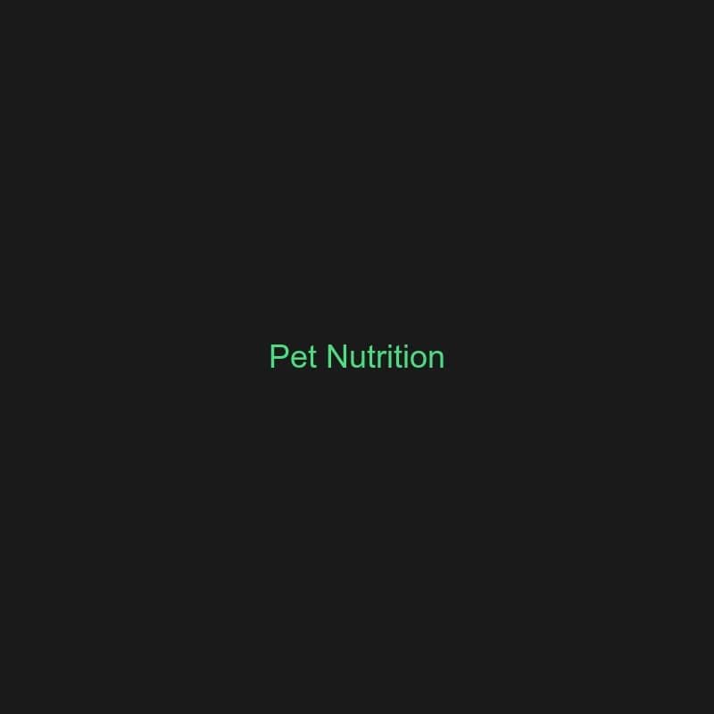 Pet nutrition plans